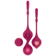 Orchidea