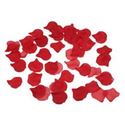 Obsenza - Romantic 100 Petals for Sensual Surprise by Diverty Sex - Image 1