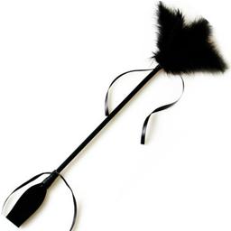 Obsenza&#x20;-&#x20;Secretplay&#x20;Black&#x20;Whip&#x20;&amp;&#x20;Feather&#x20;for&#x20;Sensual&#x20;Play&#x20;-&#x20;Image&#x20;1