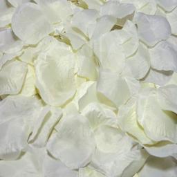Obsenza - Vanilla Petals for Romantic Surprises by Diverty Sex - Image 1