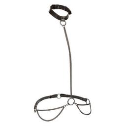 Obsenza - Euphoria Chain Halter Coleira e Trela Tamanho Grande | CALEXOTICS - Image 1