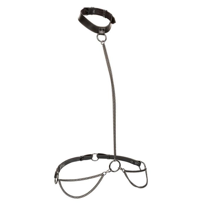 Obsenza - Euphoria Kettenhalfterhalsband mit Leine – Eleganz & Kontrolle für Mutige - Image 1