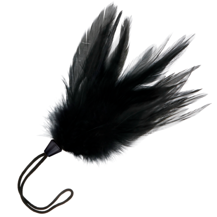 Obsenza - Pluma Estimuladora Negro de 17 cm para Juegos Eróticos - DARKNESS - OS - Image 1