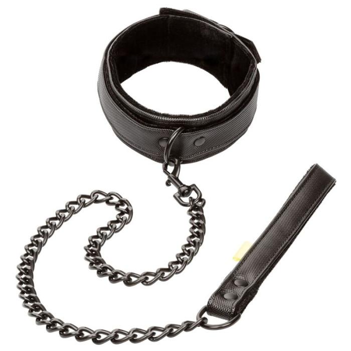 Obsenza - Coleira e Trela Sem Limites CALEXOTICS para Experiências Intensas - Image 1
