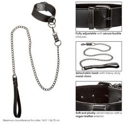 Obsenza&#x20;-&#x20;Euphoria&#x20;Halsband&#x20;mit&#x20;Kettenleine&#x20;&#x2013;&#x20;Elegantes&#x20;BDSM&#x20;Accessoire&#x20;von&#x20;CALEXOTICS&#x20;-&#x20;Image&#x20;1