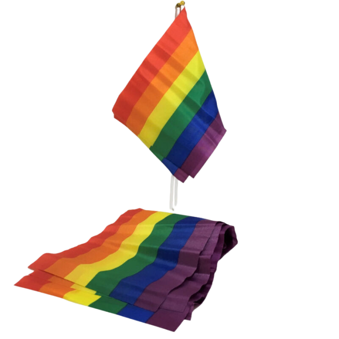 Obsenza - LGBT Pride Small Flag Banner for Celebrations and Decor - Image 1