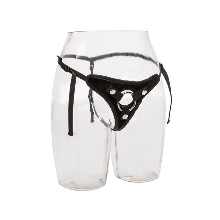 Obsenza - Her Royal Aproveita a Princesa Tanga Luxuosa em Veludo por CALEXOTICS - OS - Image 1