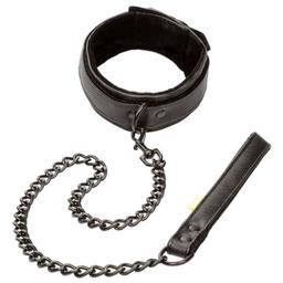 Obsenza - Collar con Correa Boundless de CALEXOTICS para Dominación y Control - Image 1