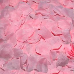 Obsenza - Romantic Pink Petals for Sensual Surprises by Diverty Sex - Pink - Image 1