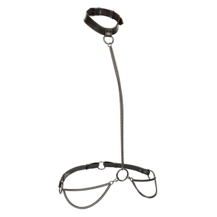 Obsenza - Euphoria Übergröße Kettenhalfter Halsband und Leine – CALEXOTICS - Image 1