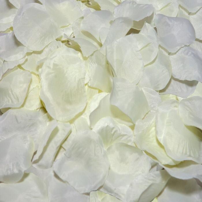 Obsenza - Vanilla Petals for Romantic Surprises by Diverty Sex - Image 1