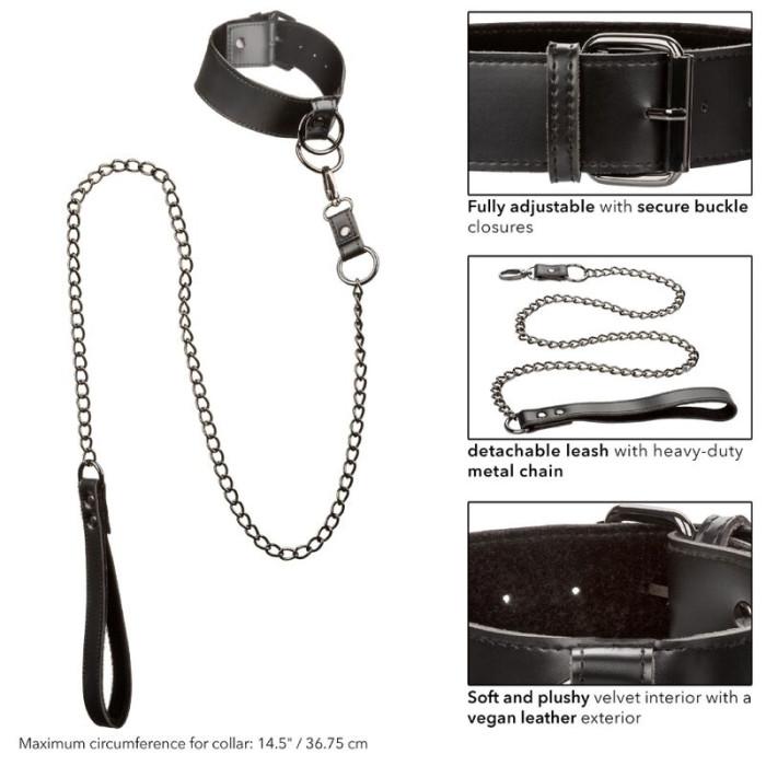 Obsenza - Euphoria Collar with Chain Leash for BDSM Control - Image 1