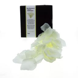 Obsenza&#x20;-&#x20;Diverty&#x20;Sex&#x20;Vanilla&#x20;Petals&#x20;Perfumed&#x20;with&#x20;Aphrodisiac&#x20;Fragrance&#x20;-&#x20;Image&#x20;1