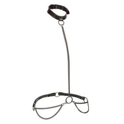 Obsenza&#x20;-&#x20;Euphoria&#x20;Kettenhalfterhalsband&#x20;mit&#x20;Leine&#x20;&#x2013;&#x20;Eleganz&#x20;&amp;&#x20;Kontrolle&#x20;f&#xFC;r&#x20;Mutige&#x20;-&#x20;Image&#x20;1